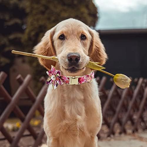Девојка Куче Јака И Поводник Поставува Мека Цвет Куче Јака Симпатична Женски Куче Јака Со Прилагодливи Метални Тока За Мали