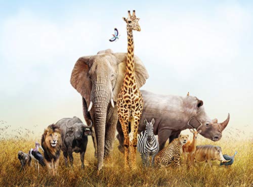 Голем сафари Фото Позадина - Animalsивотни во Африка - Декорација на слика Слика Декор за украси wallид гигант постери за бебиња