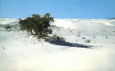 Национален споменик на бели песоци, разгледница во Ново Мексико