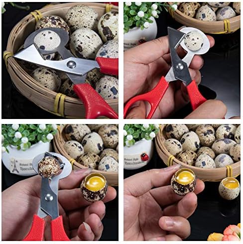 Ножици за кујнски ножици за секачи на јајце -јајце - ножици на гулаб од не'рѓосувачки челик