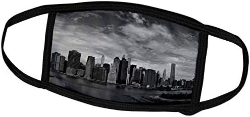 3дроуз Рони Честејн ЊУЈОРК-ЊУЈОРК Од Бруклин, Црно-Бело Лице Покрива